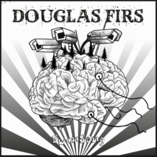 Douglas Firs