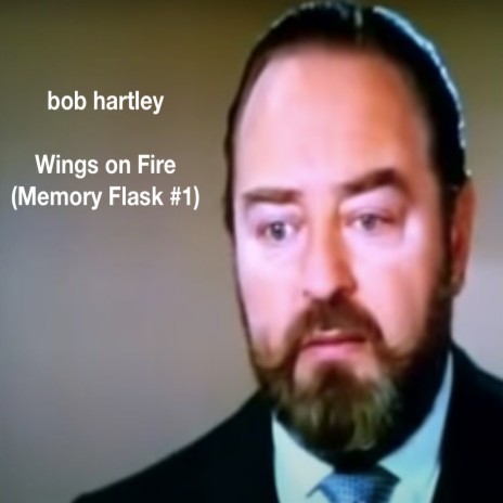 Wings On Fire | Boomplay Music