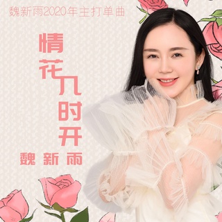 情花几时开 (DJ沈念版伴奏) lyrics | Boomplay Music