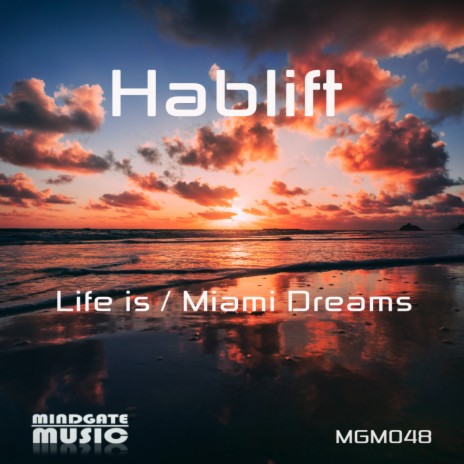 Miami Dreams (Extended Mix) | Boomplay Music
