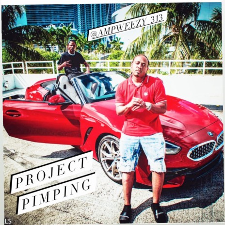 PROJECT PIMPING | Boomplay Music