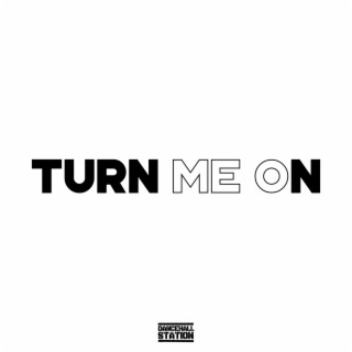 Turn Me On ft. Dancehall Station lyrics | Boomplay Music