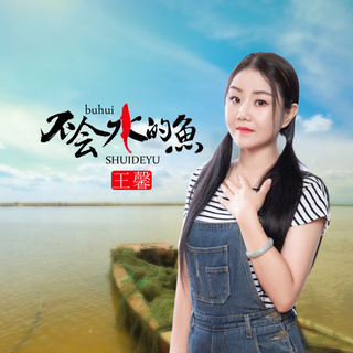 不会水的鱼 (伴奏) lyrics | Boomplay Music