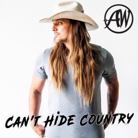 Can't Hide Country | Boomplay Music