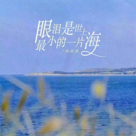 眼泪是世上最小的一片海 (伴奏) | Boomplay Music