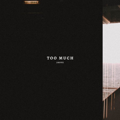 Too Much | Boomplay Music