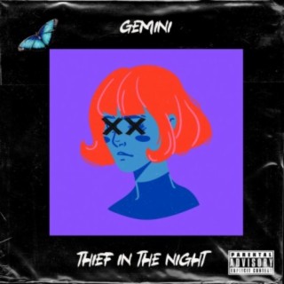 Thief in the Night