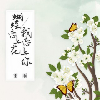 蝴蝶恋上花我恋上你 (伴奏) lyrics | Boomplay Music