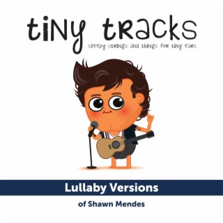 Lullaby Versions of Shawn Mendes