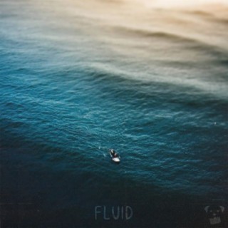 fluid