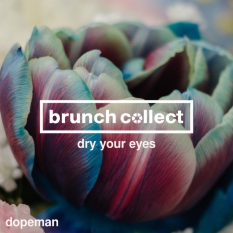 Dry Your Eyes | Boomplay Music