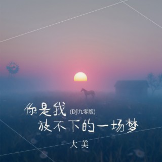 你是我放不下的一场梦 (DJ九零版伴奏) lyrics | Boomplay Music