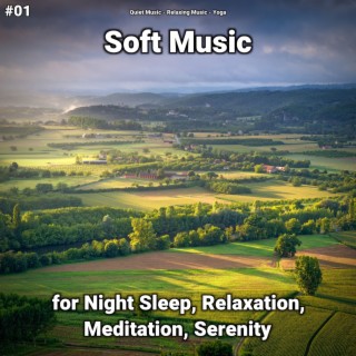 #01 Soft Music for Night Sleep, Relaxation, Meditation, Serenity