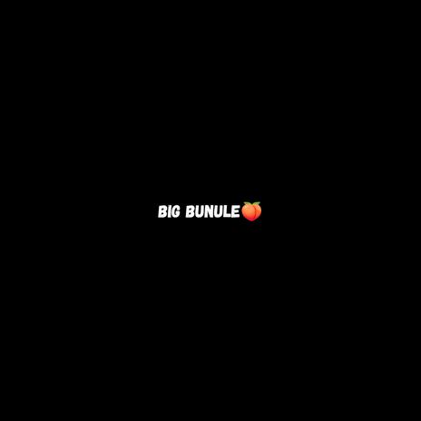 Big Bunule (Kid Haavi Remix) ft. GEOXwill, Joka & Kid Haavi | Boomplay Music