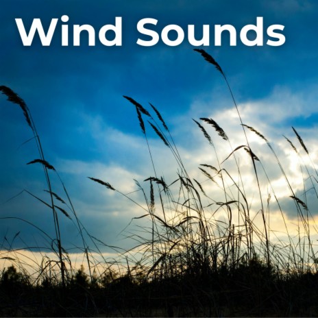 Arctic Wind Sounds ft. Epiphonema, Neightbirds, Wild Weather, Weather Batches & The Weather Channel
