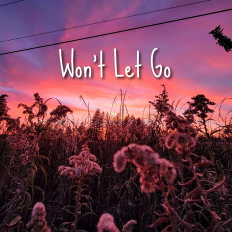 Won't Let Go | Boomplay Music