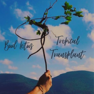 Tropical Transplant