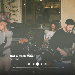 Not a Rock Vibe