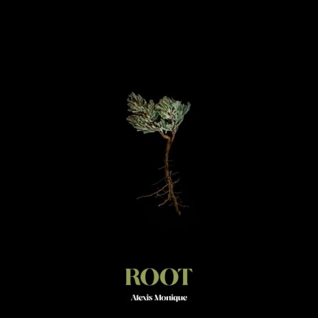 ROOT | Boomplay Music