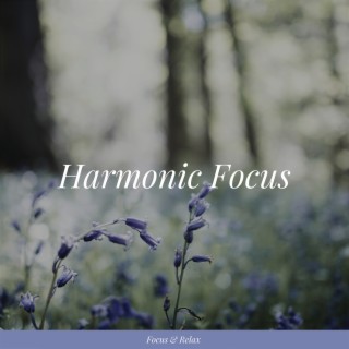 Harmonic Focus: Frequencies for Thought