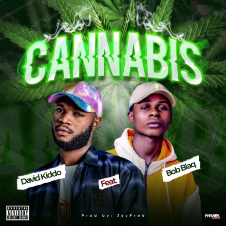 Cannabis ft. Bob blaq | Boomplay Music
