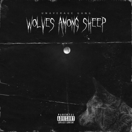 Wolves Among Sheep | Boomplay Music