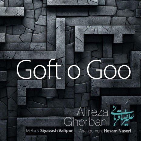 Goft O Goo (Live) ft. Siavash Valipour & Hesam Naseri | Boomplay Music