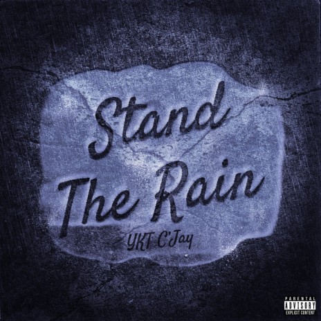 Stand The Rain | Boomplay Music