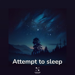 Attempt to Sleep