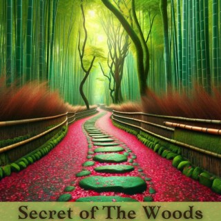 Secret of The Woods: Zen Meditation for Total Relaxation