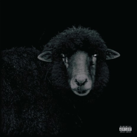 The Blacc Sheep | Boomplay Music