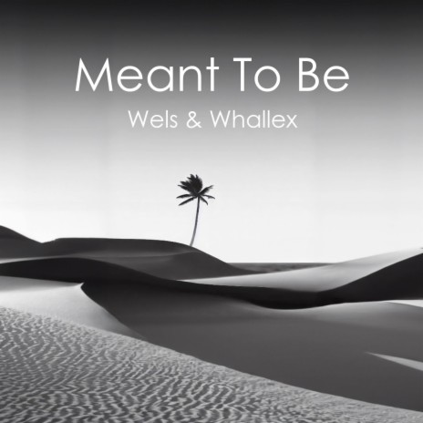 Meant To Be ft. Whallex | Boomplay Music