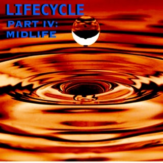 Lifecycle Part IV: Midlife