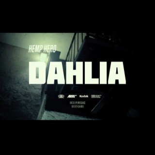 Dahlia lyrics | Boomplay Music