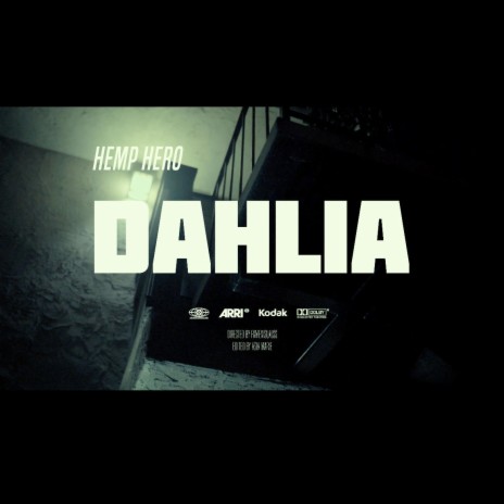 Dahlia | Boomplay Music