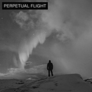 Perpetual Flight