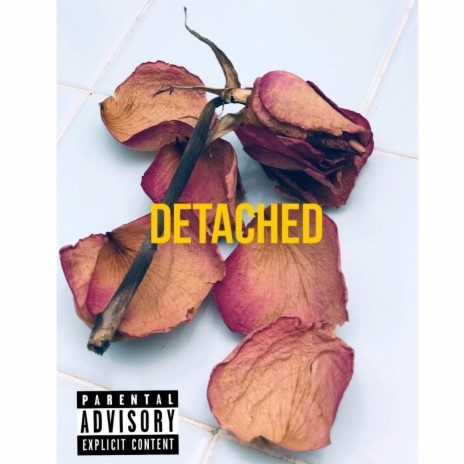 DETACHED | Boomplay Music