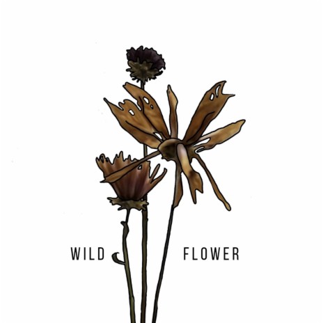 Wildflower | Boomplay Music