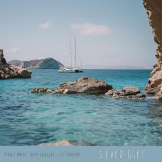 Silver Grey