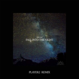 Fall Into The Night (Player2 Remix)