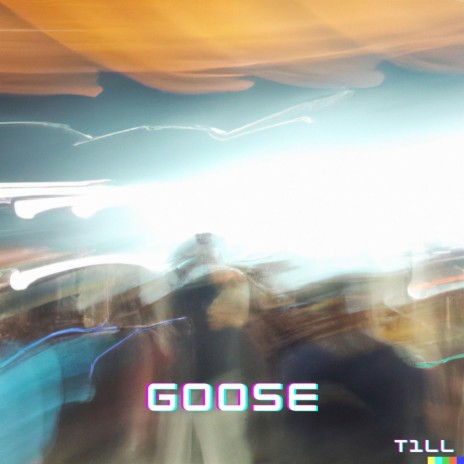 goose | Boomplay Music