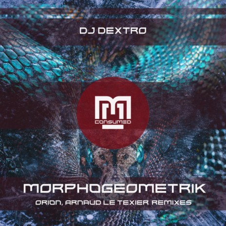 Morphogeometrik (Arnaud Le Texier Remix) | Boomplay Music