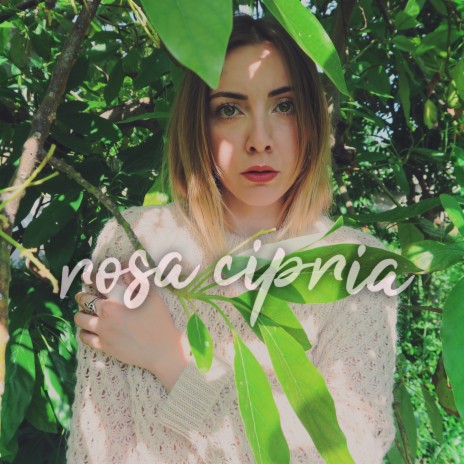 Rosa cipria | Boomplay Music