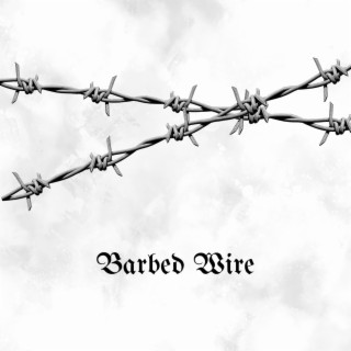 Barbed Wire (Radio Edit) lyrics | Boomplay Music