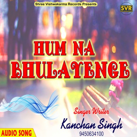 Hum Na Bhulayenge | Boomplay Music