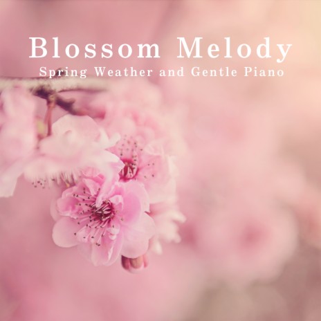 Whispers of Blooming Dawn | Boomplay Music