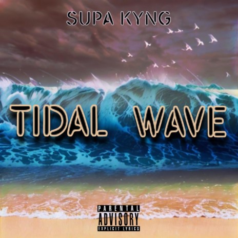 TIDAL WAVE | Boomplay Music