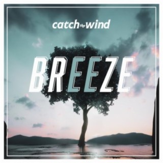 Catch the Wind