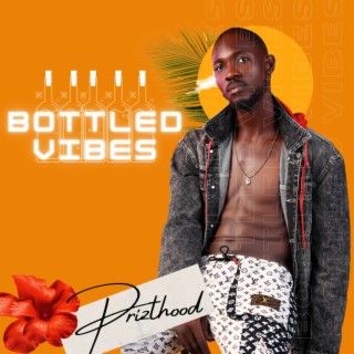 Bottled Vibes | Boomplay Music
