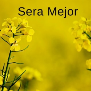 Sera Mejor